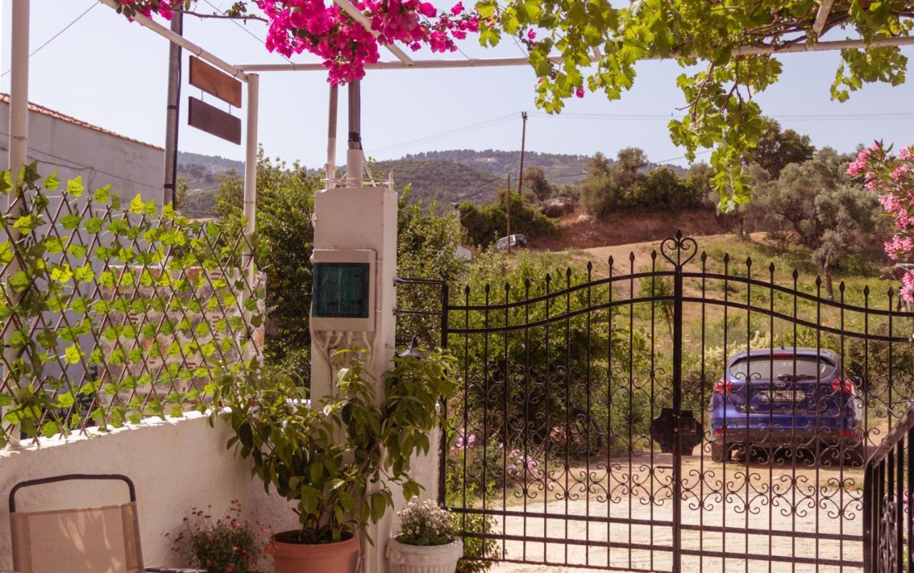 Alexandra'S House Hotell Skiathos stad Exteriör bild